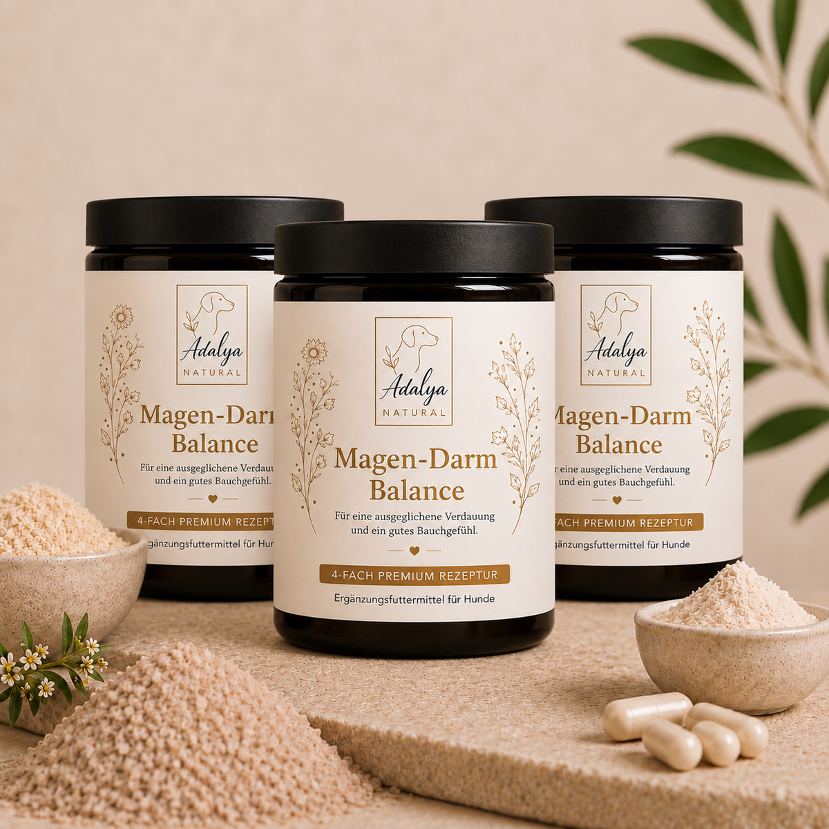 Trio-Set Magen-Darm Balance